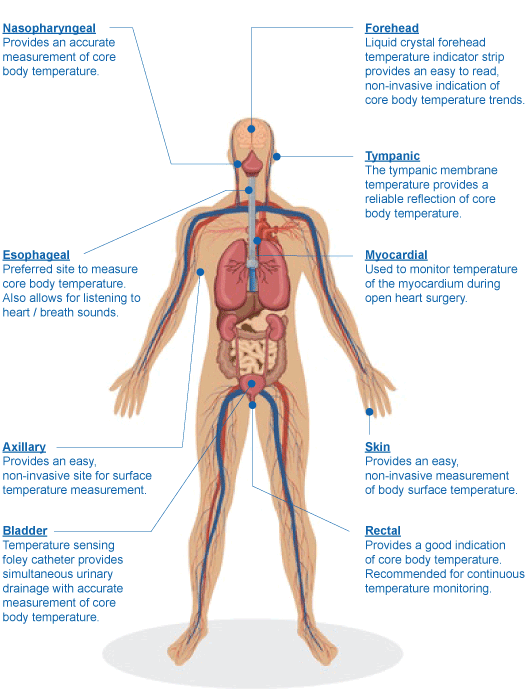 Body Temperature Sensors & Measurement